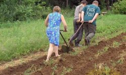 Советы садоводам и огородные хитрости, которые работают с точностью до наоборот