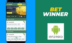 Особенности бонусной программы и где скачать зеркало BetWinner