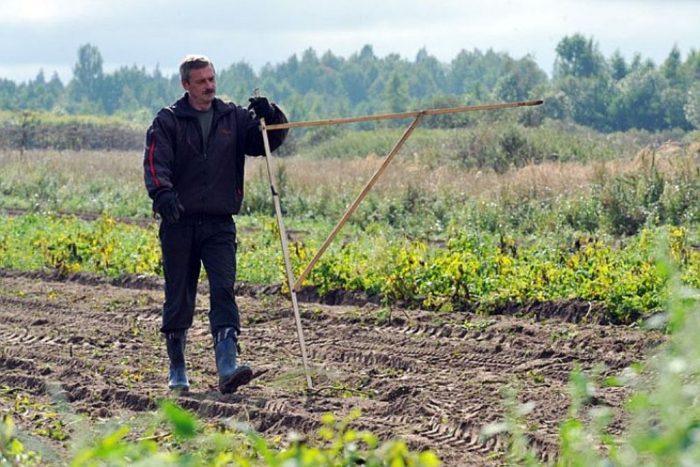 получить бесплатно землю