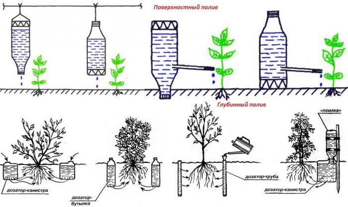 Капельный полив из пластиковых бутылок