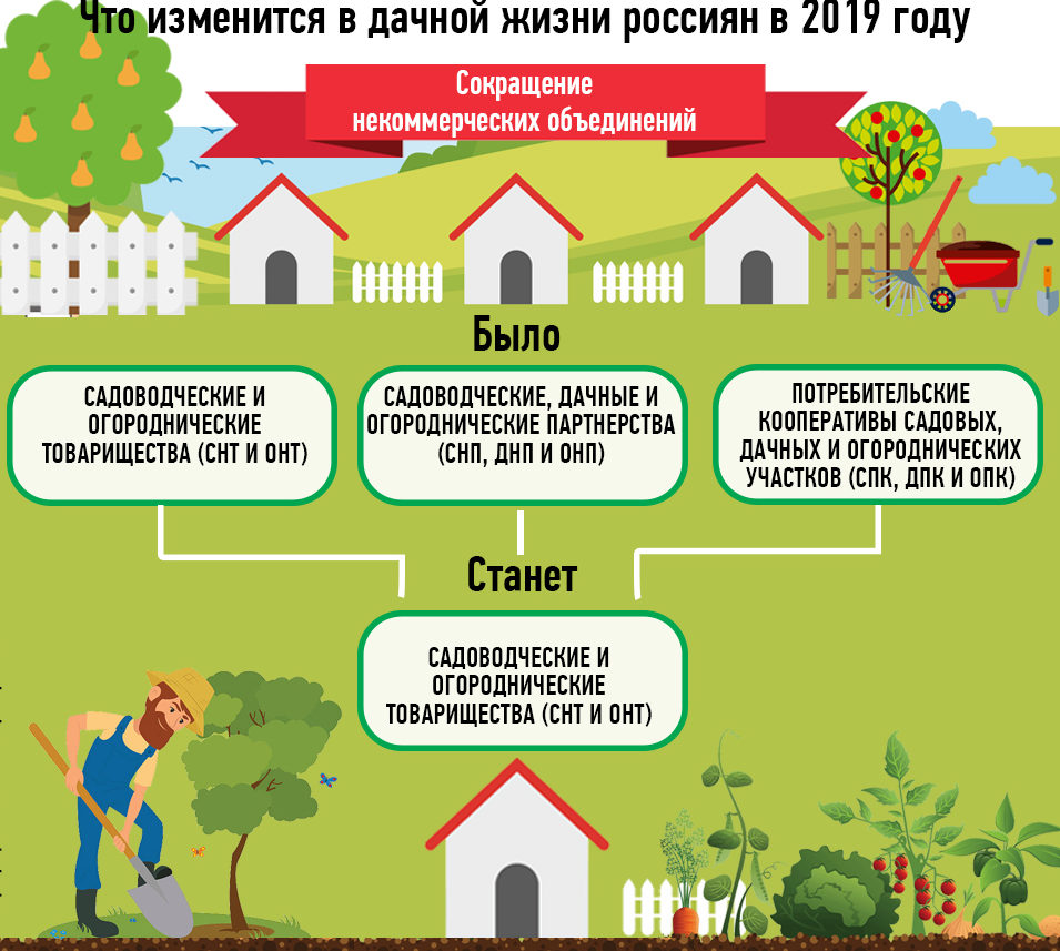 Дачная реформа 2019 года