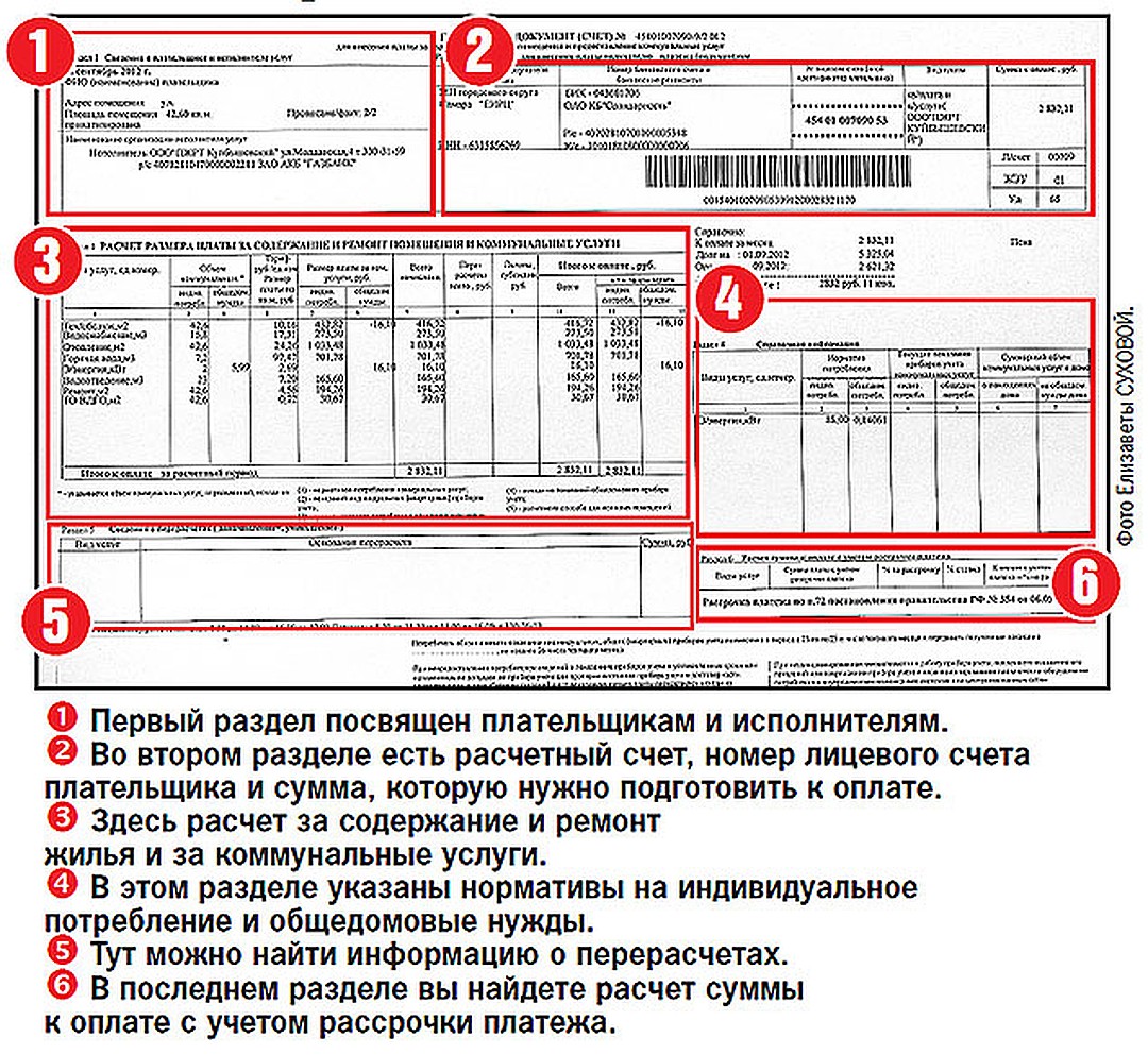 структура платежки