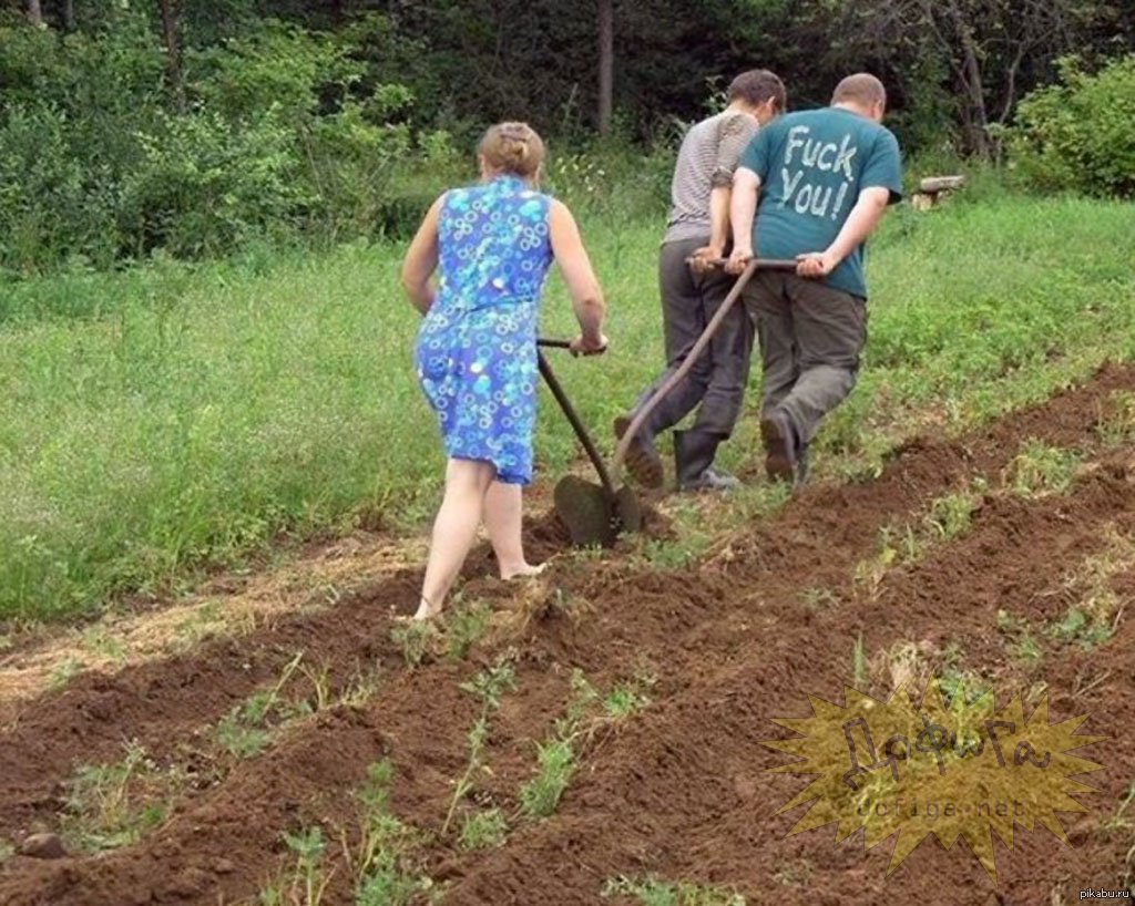 Вредные советы для огородников