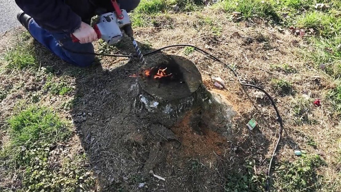 Удаление пней на даче без корчевания