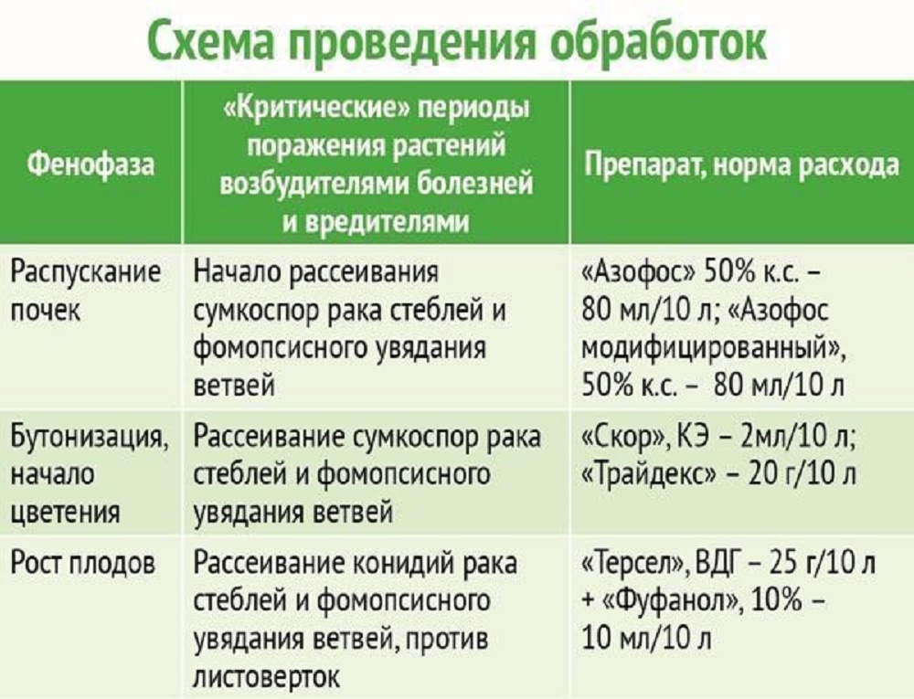 График проведения обработок от болезней голубики